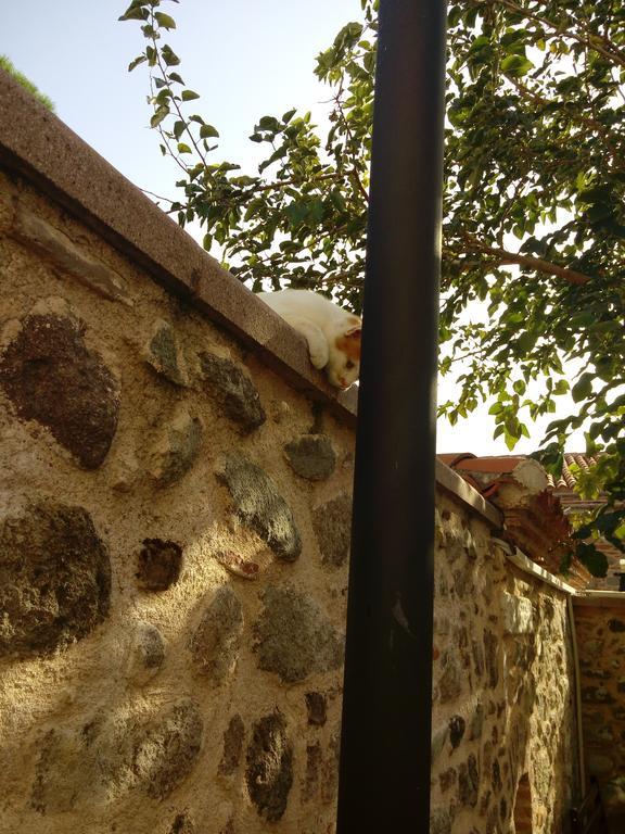 Aristonicus Boutique Hotel Bergama Exterior photo